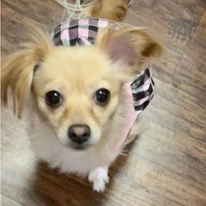 Meet your Posher, Lisa